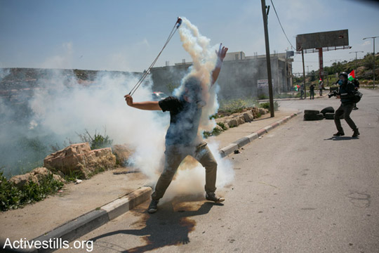 מפגין פלסטיני מחזיר רימון גז שנורה על ידי מג"ב בזמן הפגנה לשחרור האסירים הפלסטינים מול כלא עופר, הגדה המערבית, ה-4 לאפריל, 2014. (אקטיבסטילס)