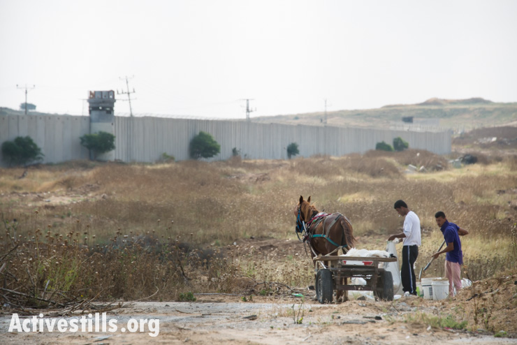 פלסטינים על גבול השטח האסור, ליד מעבר ארז, 11.5.2014 (צילום: ריאן רודריק ביילר, אקטיבסטילס)