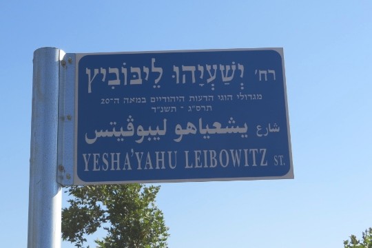 רחוב ישעיהו ליבוביץ בירושלים. (צילום: רענן שמש-פורשנר)