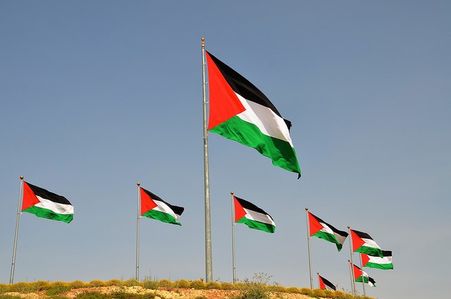 גדול יותר מהדגל בעקבה? דגלי פלסטין בכניסה למרכז המבקרים (CC BY-NC 2.0  scottgun)