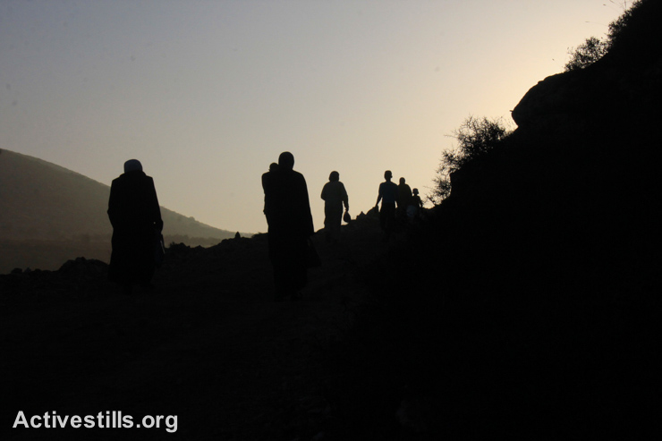 חקלאים פלסטינים צועדים בשעות הבוקר המוקדמות בדרך למסיק, בכפר סלאם ליד שכם, הגדה המערבית, 9 לאוקטובר, 2014. אחמד אל-באז/אקטיבסטילס