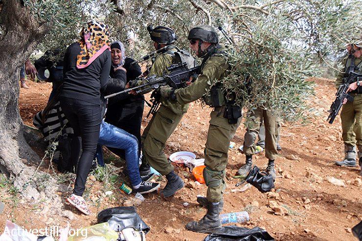 חיילים מתעמתים עם נשים פלסטיניות במהלך ארוע נטיעות עצי זית לזכרה של רייצ'ל קורי סמוך לכפר קריות, 15 במרץ, 2015. שני פעילים נעצרו במהלך הנטיעות. (אקטיבסטילס)