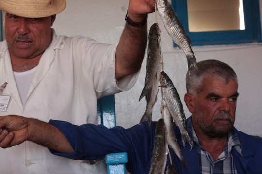 שוק דגים בג'רבה (רפרם חדד)
