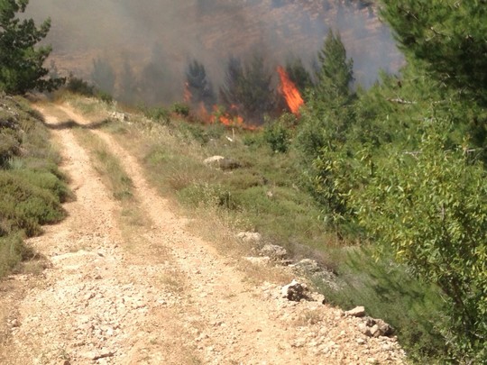 הצתת עצי זית סמוך להתנחלות בת עין. צילום: דוברות כבאות והצלה מחוז יוש