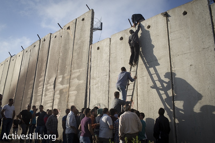 פלסטינים מטפסים על חומת ההפרדה בא-ראם לתוך ירושלים (אורן זיו / אקטיבסטילס)
