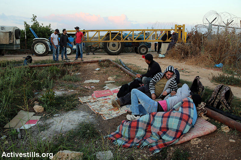 חקלאים פלסטינים ממתינים לפתיחת שער חקלאי בגדר ההפרדה בכפר פלאמיה (שער מספר 914), הגדה המערבית, 14 ביוני 2015. (אחמד אל-באז/אקטיבסטילס)
