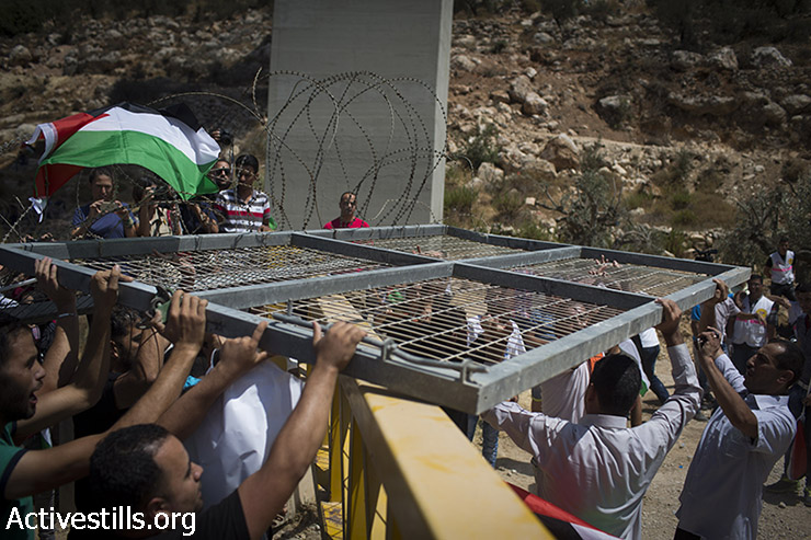 מפגינים פלסטינים אוחזים בשער שפירקו מגדר ההפרדה במהלך פעולה ישירה נגד בניית הגדר בבית ג'אלה הסמוכה לבית לחם, הגדה המערבית, 23 באוגוסט 2015. (אורן זיו/אקטיבסטילס)