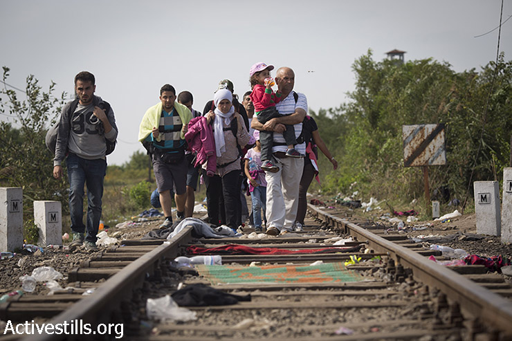 פליטים צועדים לעבר גבול סרביה-הונגריה, לאחר שהונגריה סגרה את גבולותיה ולא אפשרה לפליטים לחצות את המדינה במסעם לעבר מדינות מערב וצפון אירופה, 15 בספטמבר 2015. (אורן זיו/אקטיבסטילס)