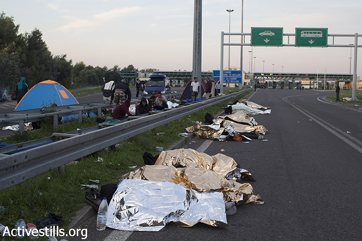 פליטים נחים לצד הכביש בצד הסרבי של גבול סרביה-הונגריה, לאחר שהונגריה סגרה את הגבול בפניהם. (אורן זיו/אקטיבסטילס)