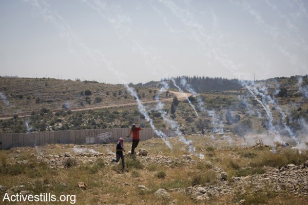 צעירים פלסטינים רצים בזמן שחיילים יורים גז מדמיע, במהלך הפגנה נגד החומה בניעלין, הגדה המערבית, ה- 25 לאפריל 2014 (אקטיבסטילס)