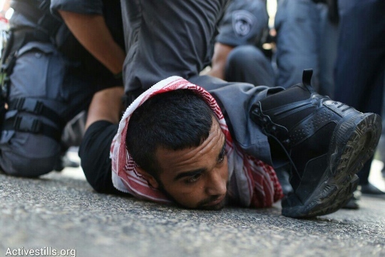 שוטרים עוצרים מפגין בחיפה (אורן זיו / אקטיבסטילס)