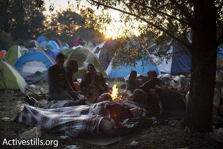 אם אסד בכלל זורק על אזרחיו פרחים, ולא חביות נפץ - אז מליוני הפליטים ברחו סתם כך ממדינתם? פליטים סורים ישנים בשעות הבוקר המוקדמות, סמוך לגבול הסרבי הונגרי, 15 בספטמבר 2015. (אורן זיו/אקטיבסטילס)