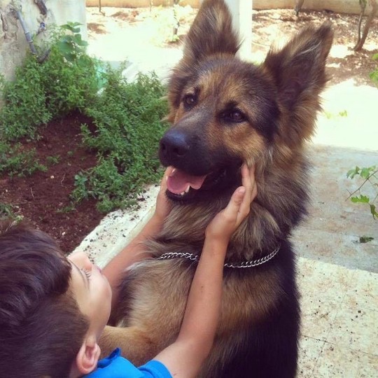 הכלב ענתר והילד זן. איך מסבירים דבר כזה לילדים? (התמונה באדיבות המשפחה)