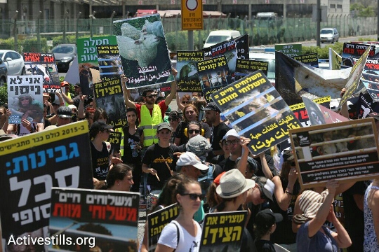 מאות ערבים ויהודים בצעדה למען זכויות בעלי חיים, חיפה (אורן זיו / אקטיבסטילס)