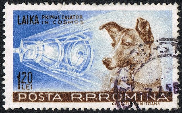 הכלבה לייקה וספוטניק 2 על בול מרומניה