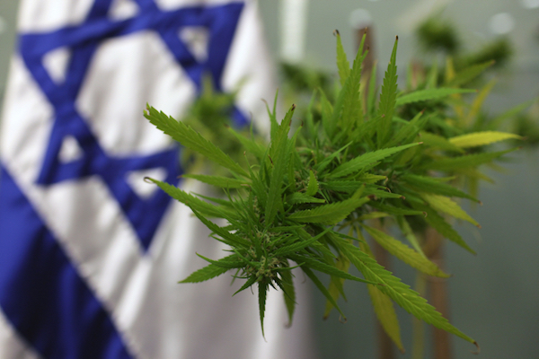 אפרטהייד במבחן המריחואנה. צילום אילוסטרציה: קובי גדעון/פלאש90