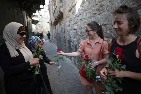 פעילי "תג מאיר" מלקים ורדים לתושבים הפלסטינים. (צילום: נתי שוחט/פלאש90)