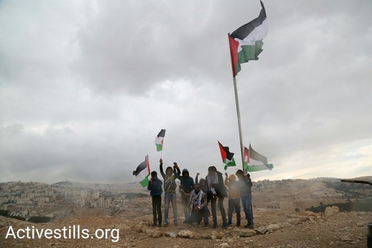 המפגינים הקימו תורן והניפו עליו את דגל פלסטין. ג'בל אל באבא, 23 בנובמבר 2017. (קרן מנור/אקטיבסטילס)