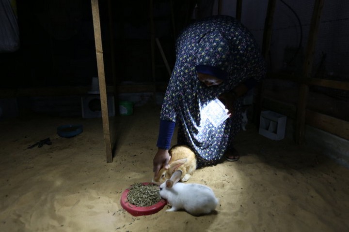 "נור אל אמל", המנורה הסלולרית והארנבים של שירין. (צילום: מוחמד מנסור. באדיבות "אנחנו לא מספרים")