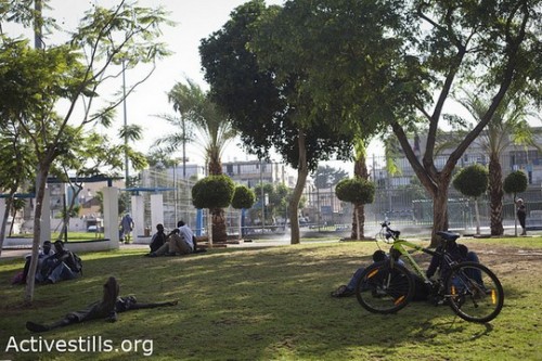 ריאה ירוקה אחרונה בנווה שאנן. גינת לוינסקי (אקטיבסטילס)