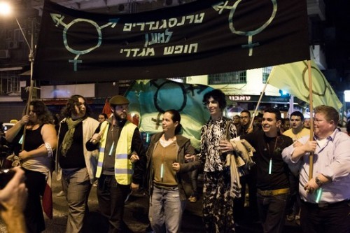 טרנסג'נדרים למען צדק חברתי: פעילות פרויקט גילה בצעדה נגד אלימות טרנספובית, ינואר 2014 (צילום: אקטיבסטילס)