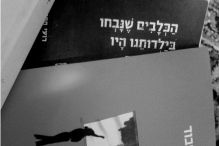 ממדף הספרים המזרחי (אורלי נוי)