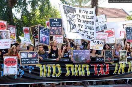 הפגנה בחוות מזור (באדיבות האגודה הישראלית נגד ניסויים בבעלי חיים)