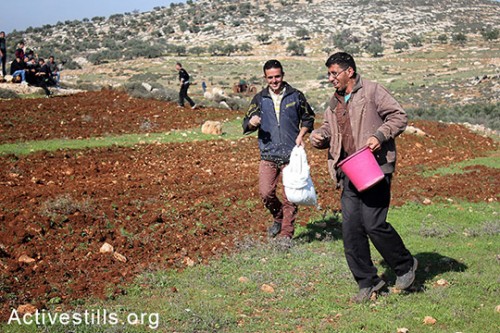 חקלאים בכפר סאלם עושים את הבלתי אפשרי: חורשים את אדמותיהם