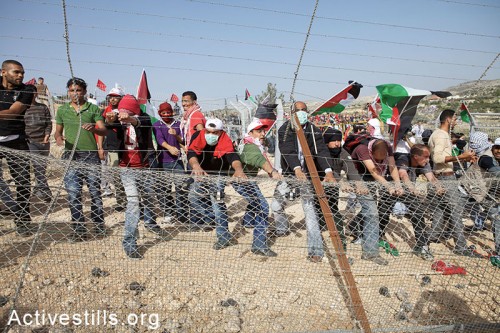 מפגינים מצליחים לפרק חלק מהגדר ביום השנה החמישי מאבק בבלעין, הגדה המערבית, 2010. (אן פאק / אקטיבסטילס)