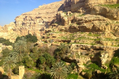 ואדי קלט באביב (אנג'לה גרובר) ואדי קלט באביב (אנג'לה גרובר)