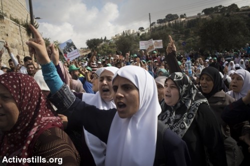 עיתונאיות, מחנכות ורופאות מחוץ לחוק: תכירו את הנשים של התנועה האסלאמית