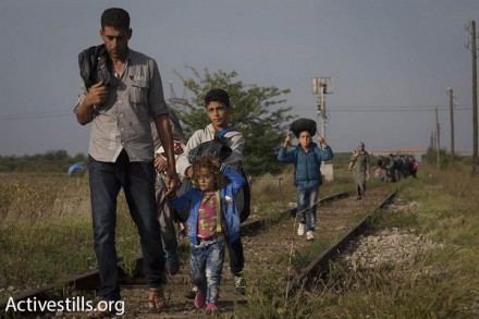 פליטים סורים צועדים לעבר הגבול הסרבי- הונגרי, 15 בספטמבר 2015. (אורן זיו/אקטיבסטילס)