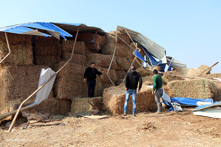 פלסטינים בוחנים את הנזק שנגרם למבנים חקלאיים אחרי שהכוחות הישראלים הרסו חממות, באר ומבנים נוספים שמומנו על ידי האיחוד האירופי באזור ענון בגדה המערבית (צילום: אקטיבסטילס)