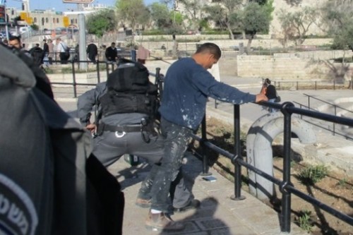 קני הרובים מכוונים (צילום: תמר פליישמן) קני הרובים מכוונים (צילום: תמר פליישמן)