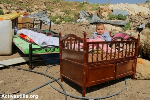 במהלך החודשיים האחרונים נהרסו 53 מבנים בח'ירבת טאנא, ביניהם 23 בתים. 87 פלסטינים נותרו מחוסרי בית. (אחמד אל-באז/אקטיבסטילס)