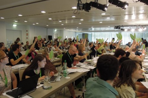ועידת הירוקים האירופים במדריד, מאי 2013 (יואב שמר-קונץ)