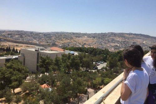 כששם המשחק הוא פגיעה בחלש ממך, בעלי החיים הופכים לפגיעים ביותר. מבט על החומה ממרומי קמפוס אוניברסיטת אל-קודס (סמאח סלאימה)