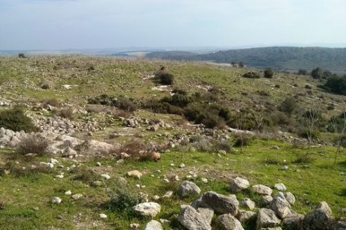 סנדיאנה אשר על הכרמל, כיום. עשרות שנים אחרי טיהור אתני, שהשאיר רק אבני בתים מפוזרות (נעם רותם)