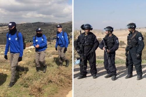 שוטרים באום אלחיראן (מימין) לעומת שוטרים בעמונה (קרן מנור/אקטיבסטילס וטובה לזארוף)