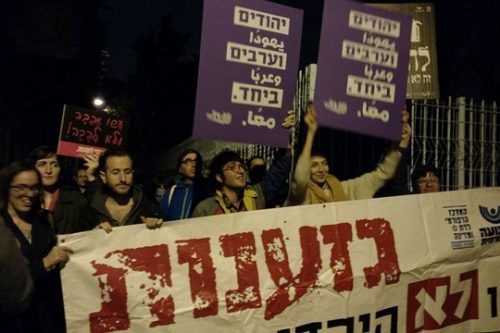 הפגנת תמיכה בגלריית ברבור בעת הרצאת שוברים שתיקה (אורלי נוי) הפגנת תמיכה בגלריית ברבור בעת הרצאת שוברים שתיקה (אורלי נוי)