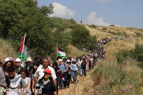 כיהודים מרימים את המבט, הם רואים את שרידי הכפרים הפלסטיניים. אלפים בצעדת העקורים השנתית לציון יום הנכבה בכפר בעקור אלכאברי (צילום: מריה זריק/אקטיבסטילס)
