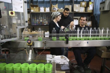עובדים במפעל סודהסטרים. אילוסטרציה. (צילום: נתי שוחט/פלאש90)