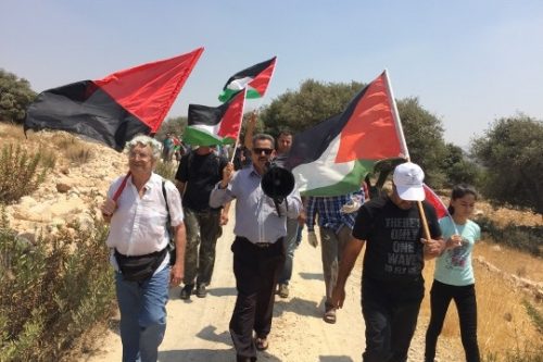 אילן שליף (משמאל) חוגג שמונים בהפגנה השבועית בבלעין נגד החומה וההתנחלויות (חגי מטר)