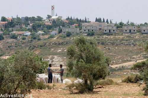 פלסטינים מהכפר קריות עומדים בשדה למול התנחלות שילה שחלקה בנויה על אדמותיהם במהלך, הגדה המערבית, 6 יוני, 2015. אחמד אל-באז / אקטיבסטילס