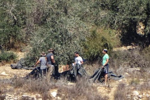 שני אזרחים ישראלים עוכבו סמוך למאחז זית רענן, לאחר שהוזעקה למקום על ידי תושבי הכפר אל-ג'אנייה, שהבחינו באלמונים גונבים זיתים מעצים שבאדמותיהם. (צילום: יש דין)