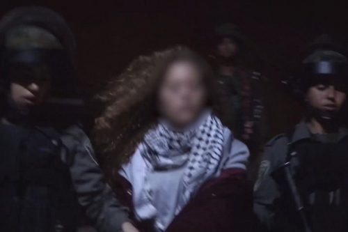 המעצר של עאהד תמימי בידי שוטרות מג"ב כפי שפורסם על ידי דוברי כוחות הבטחון (צילום מסך)