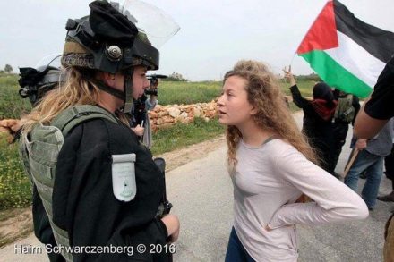 מי דוד ומי גולית? עהד תמימי מול שוטרת בנבי סאלח (צילום: חיים שוורצנברג)