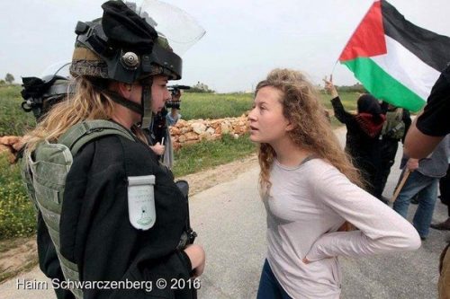 מי דוד ומי גולית? עהד תמימי מול שוטרת בנבי סאלח (צילום: חיים שוורצנברג)