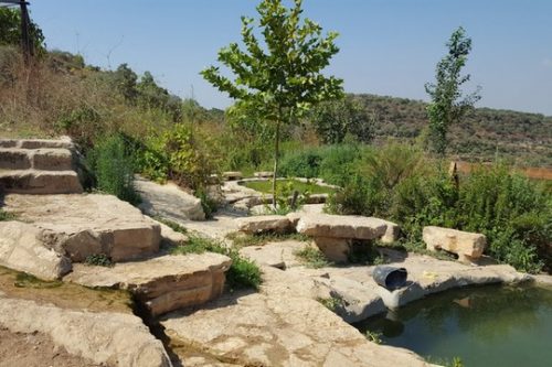 נבי ענר (צילום: עמק שווה) נבי ענר (צילום: עמק שווה)
