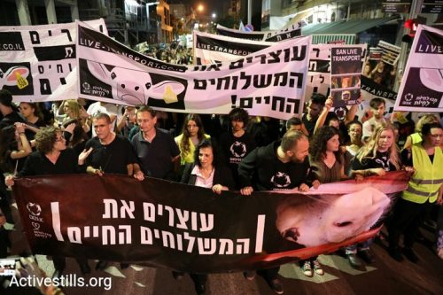 שתי הפגנות בת"א: אלפים הפגינו נגד משלוחים חיים, ובתמיכה בבג"ץ